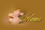 ╭☆ 歡迎光臨 Annie's 彩虹之家 ★╯